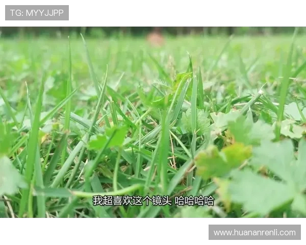 閮戦挦鏂囨煆鏋楅绉€鍔涙尗鍓嶆俯缃戝啝鍐涳紒鑽夊湴璧涘鍏抽敭鍗′綅鎴樺己鍔垮紑闂ㄧ孩